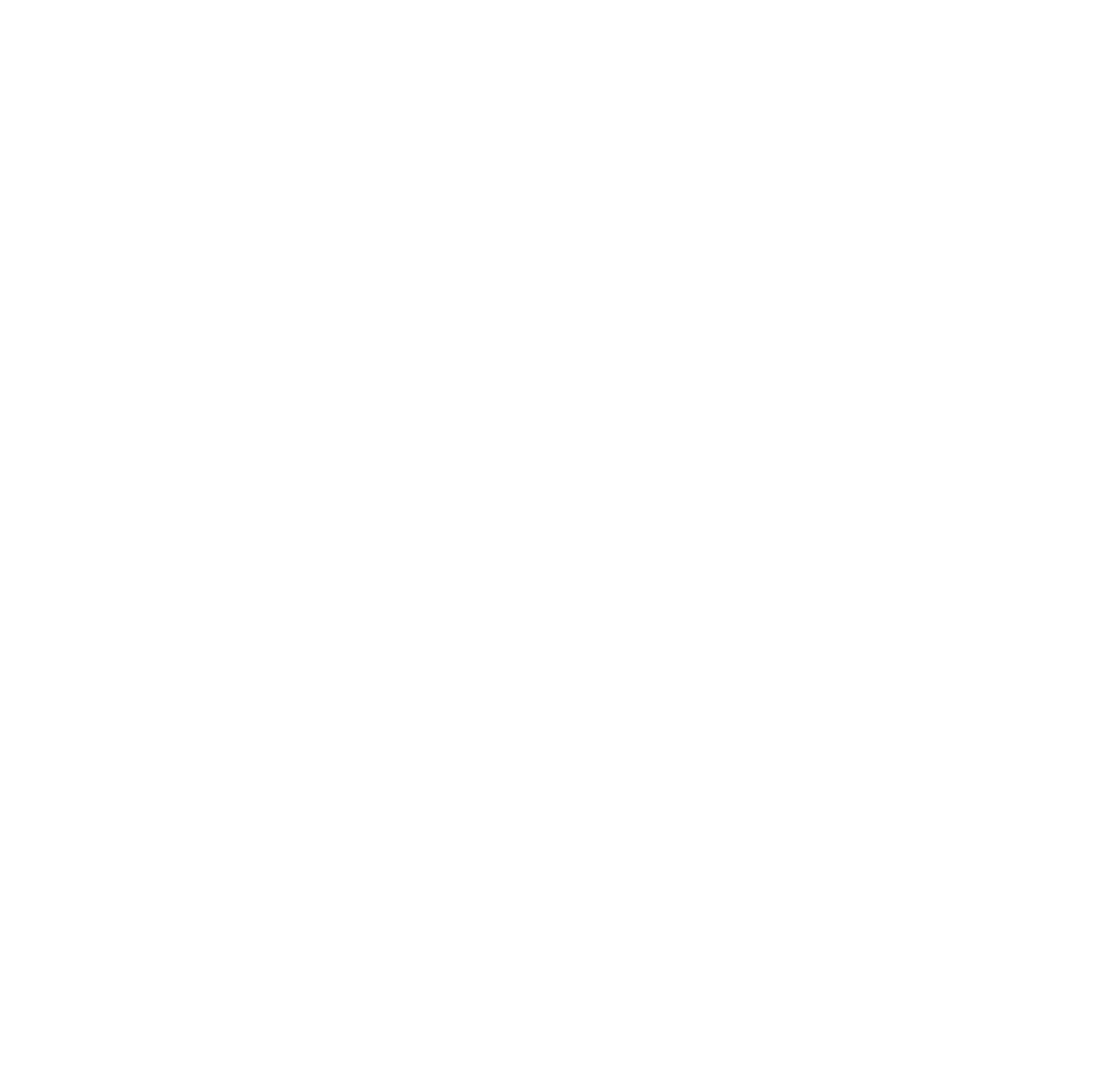 Logo spicyburro